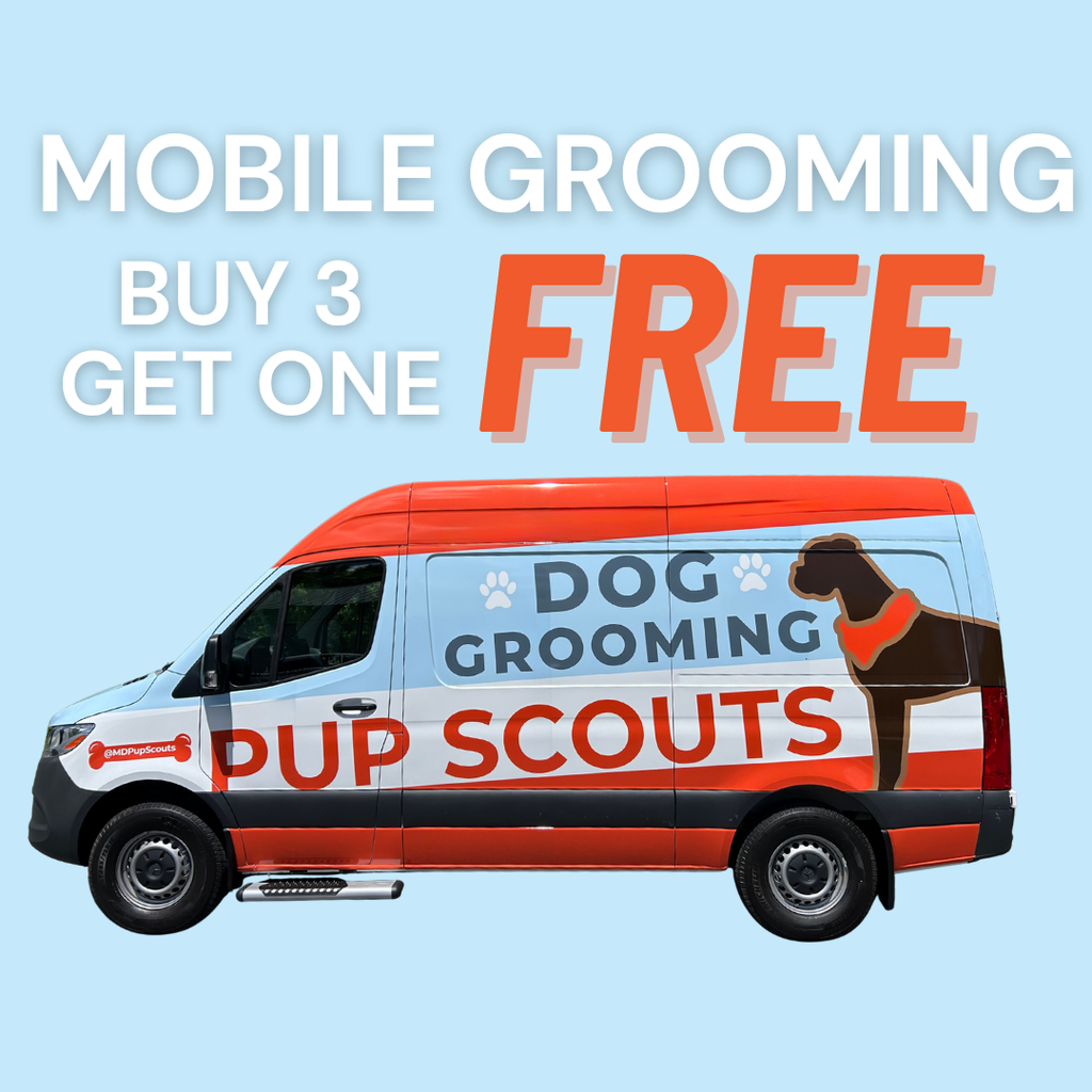 Head to Paw Glow-Up (Buy 3 Get 1 Free)