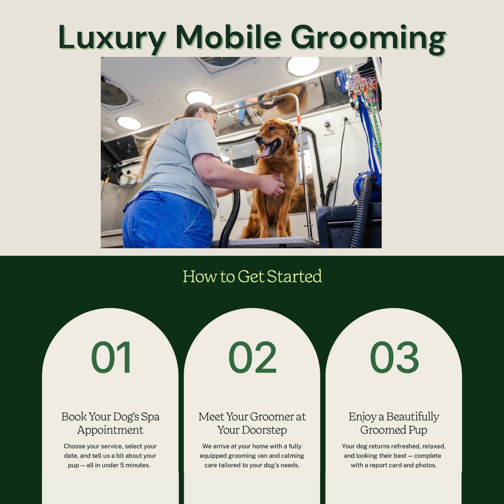 Head to Paw Glow-Up (Buy 3 Get 1 Free)