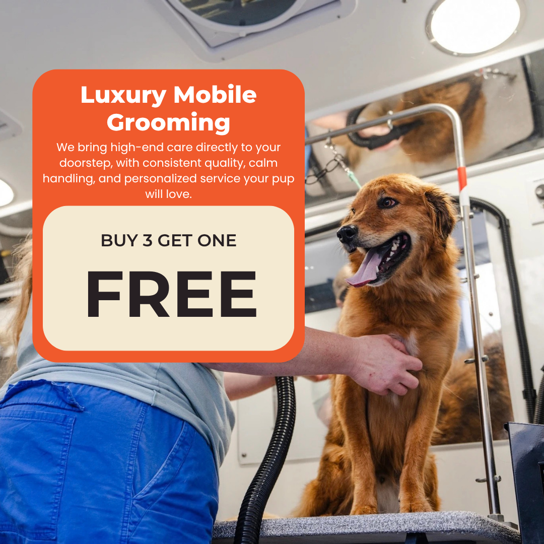 Head to Paw Glow-Up (Buy 3 Get 1 Free)