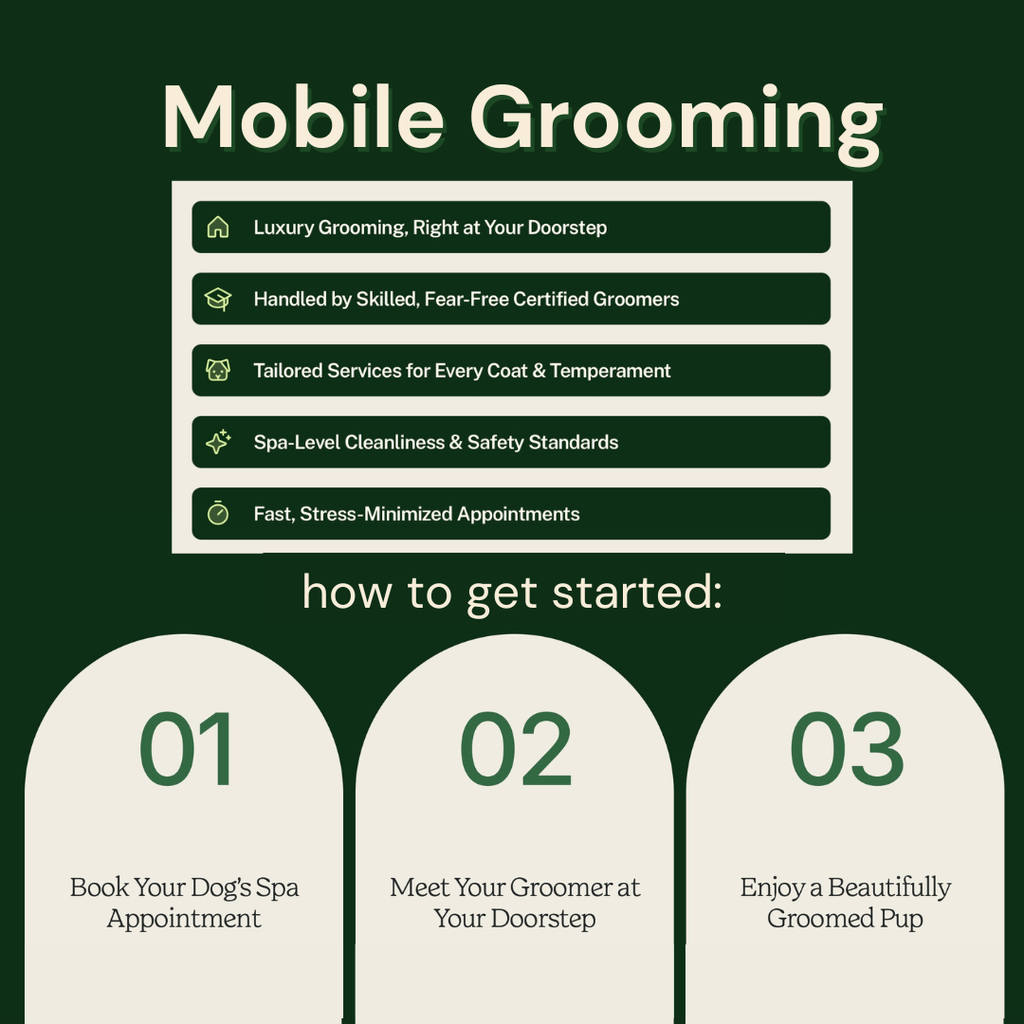 Head to Paw Glow-Up (Buy 3 Get 1 Free)